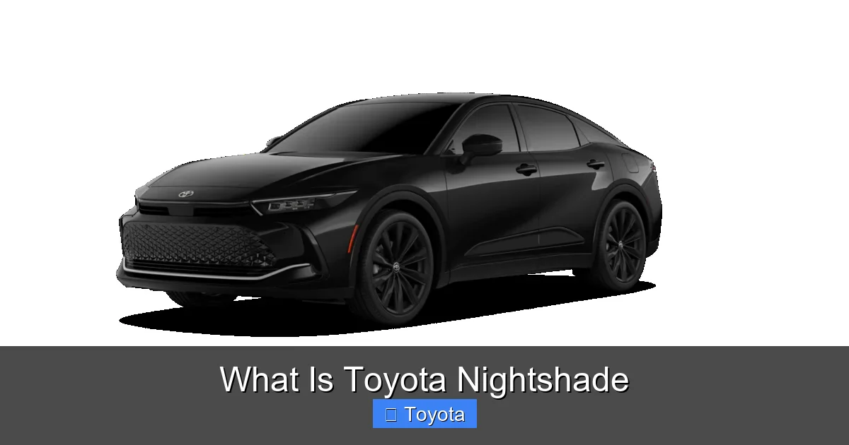 What Is Toyota Nightshade