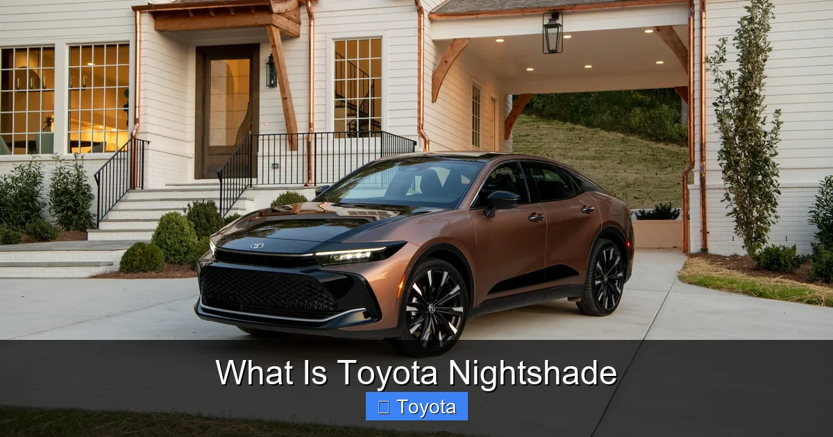 What Is Toyota Nightshade