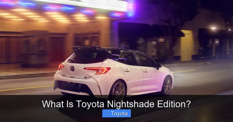What Is Toyota Nightshade Edition?