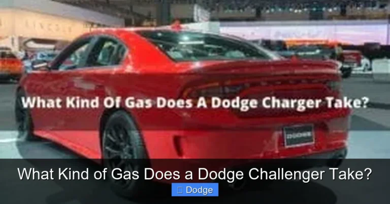 What Kind of Gas Does a Dodge Challenger Take?