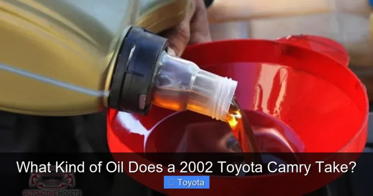 What Kind of Oil Does a 2002 Toyota Camry Take?