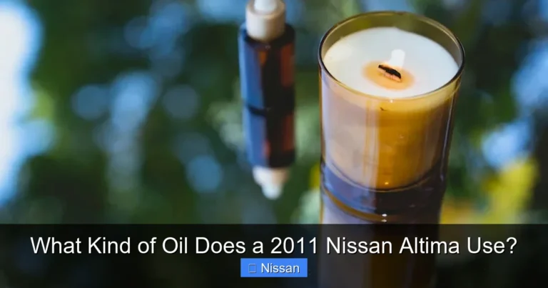 What Kind of Oil Does a 2011 Nissan Altima Use?