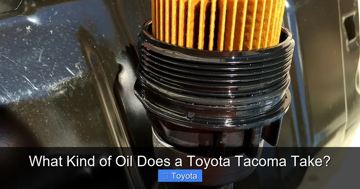 What Kind of Oil Does a Toyota Tacoma Take?