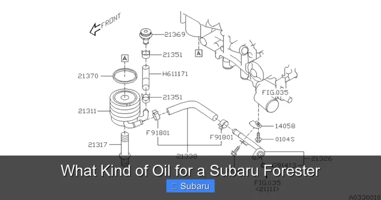 What Kind of Oil for a Subaru Forester