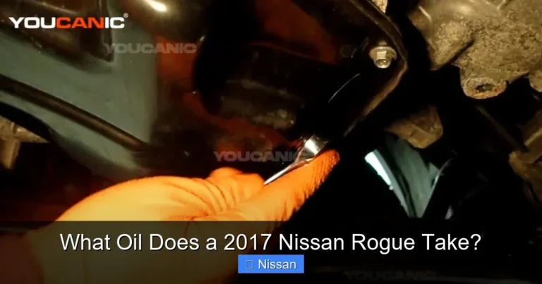 What Oil Does a 2017 Nissan Rogue Take?