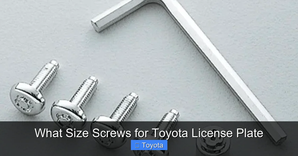 What Size Screws for Toyota License Plate
