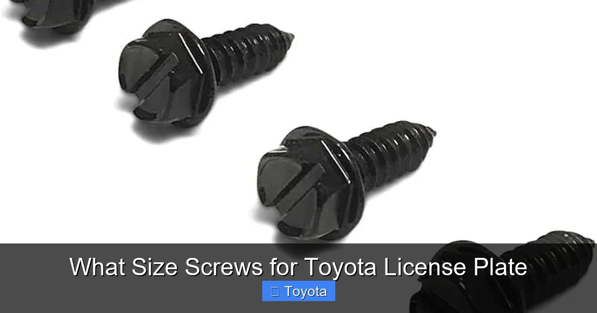 What Size Screws for Toyota License Plate