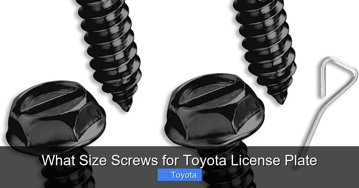 What Size Screws for Toyota License Plate