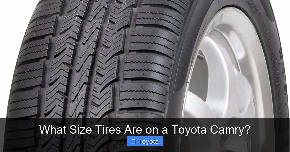 Decoding The Mystery The Ultimate Guide To Toyota Camry Tire Sizes