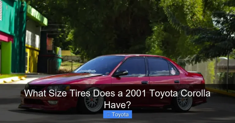 What Size Tires Does a 2001 Toyota Corolla Have?