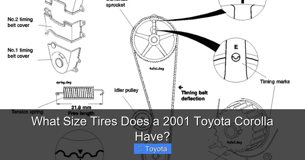 What Size Tires Does a 2001 Toyota Corolla Have?