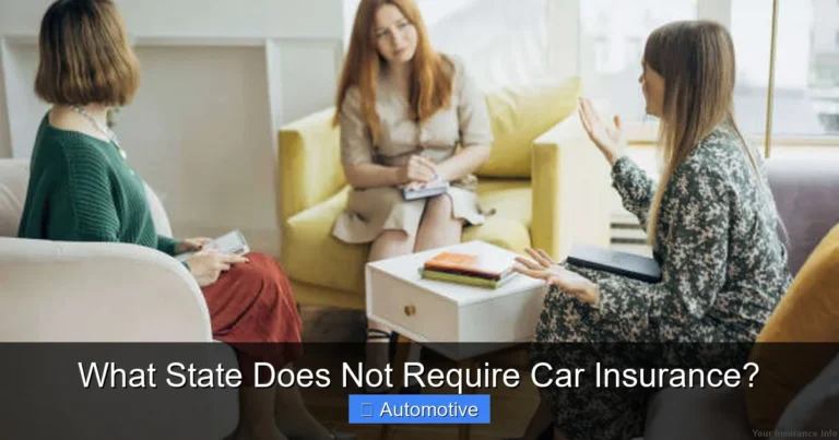 What State Does Not Require Car Insurance?