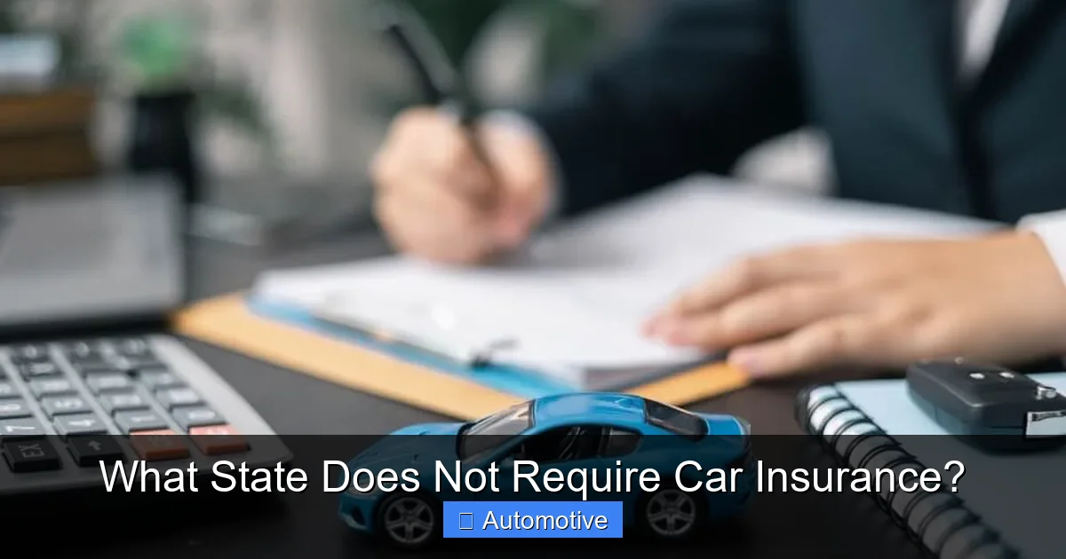 What State Does Not Require Car Insurance?