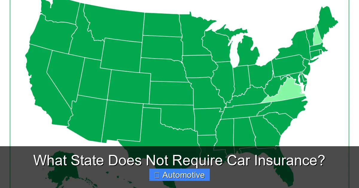 What State Does Not Require Car Insurance?