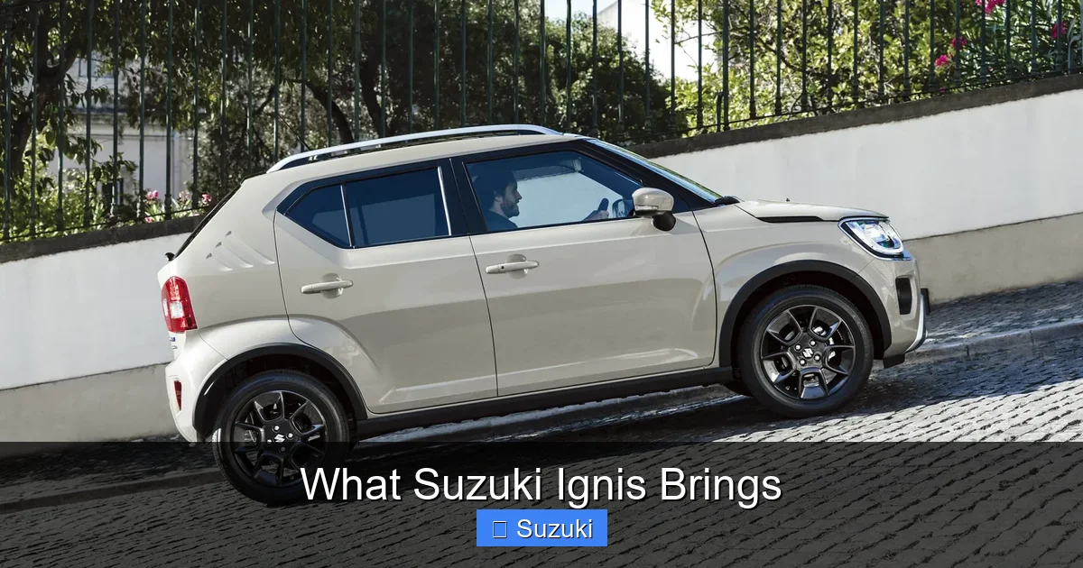 What Suzuki Ignis Brings