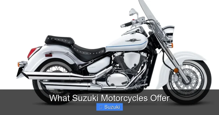 What Suzuki Motorcycles Offer