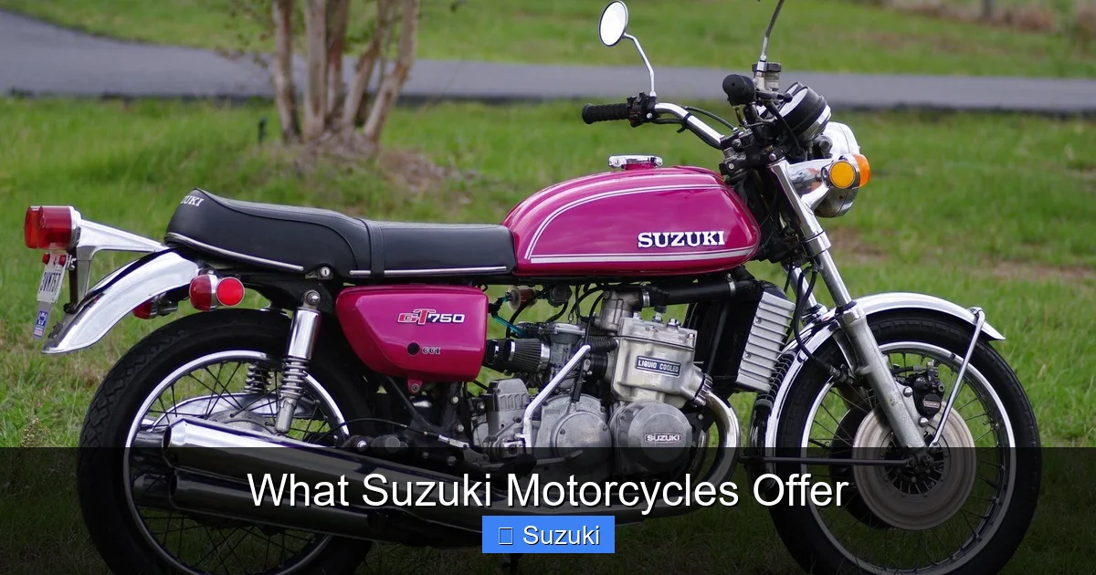 What Suzuki Motorcycles Offer