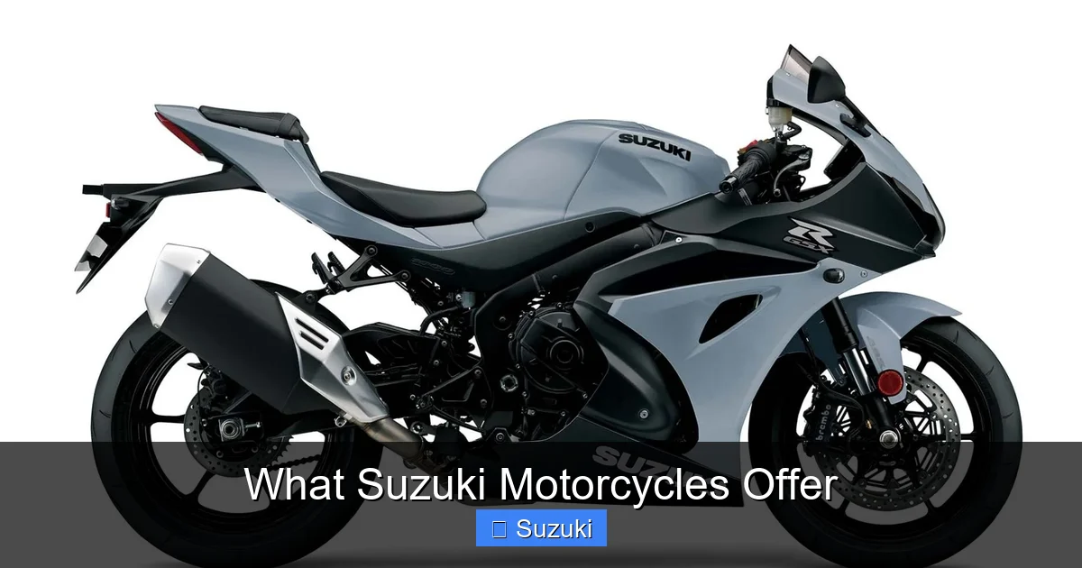 What Suzuki Motorcycles Offer
