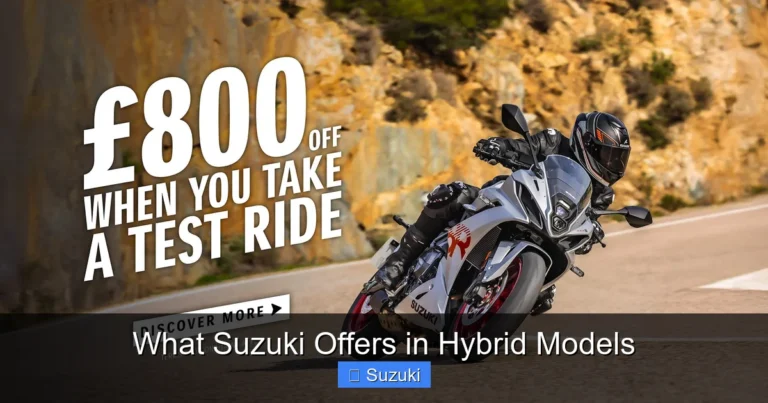 What Suzuki Offers in Hybrid Models