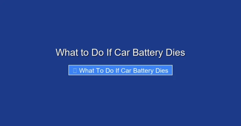 What to Do If Car Battery Dies