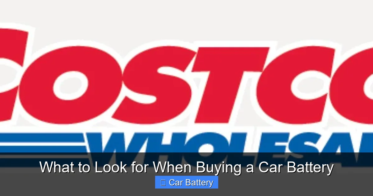What to Look for When Buying a Car Battery