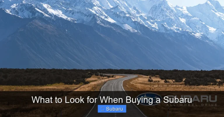 What to Look for When Buying a Subaru