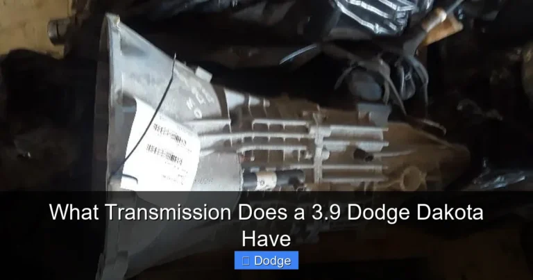 What Transmission Does a 3.9 Dodge Dakota Have