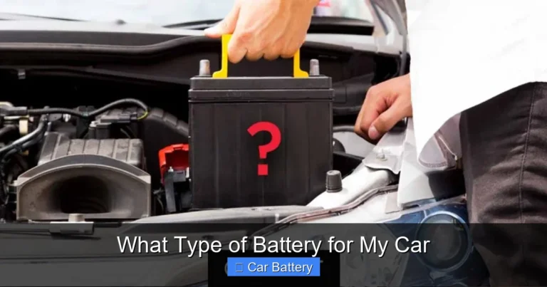 What Type of Battery for My Car