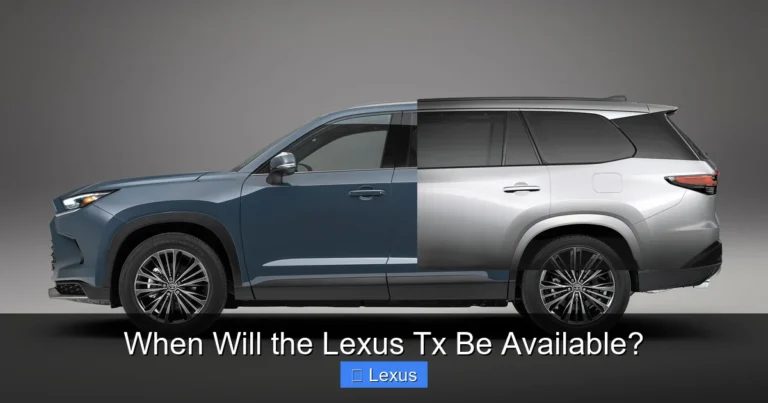 When Will the Lexus Tx Be Available?