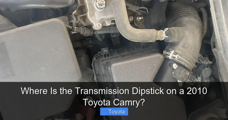 Where Is the Transmission Dipstick on a 2010 Toyota Camry?