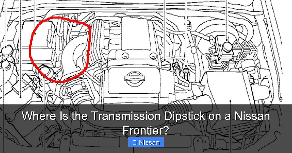 Where Is the Transmission Dipstick on a Nissan Frontier?