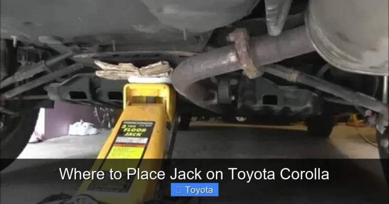 Where to Place Jack on Toyota Corolla