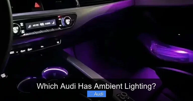 Which Audi Has Ambient Lighting?