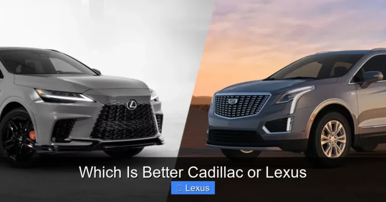 Which Is Better Cadillac or Lexus
