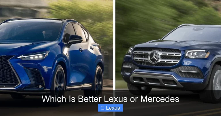 Which Is Better Lexus or Mercedes