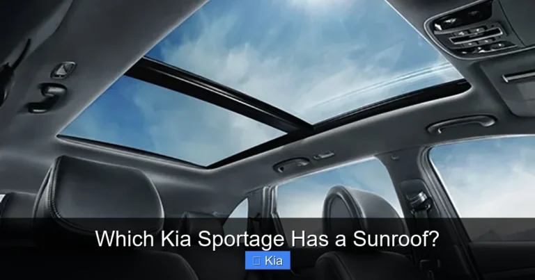 Which Kia Sportage Has a Sunroof?