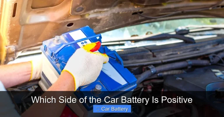Which Side of the Car Battery Is Positive