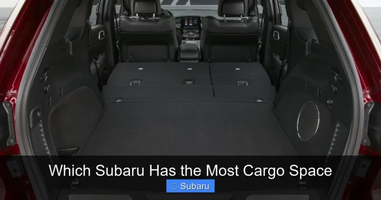 Which Subaru Has the Most Cargo Space