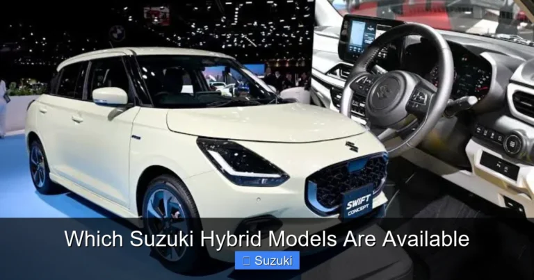 Which Suzuki Hybrid Models Are Available
