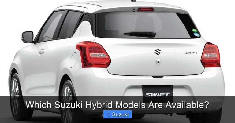 Which Suzuki Hybrid Models Are Available?