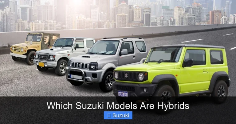 Which Suzuki Models Are Hybrids