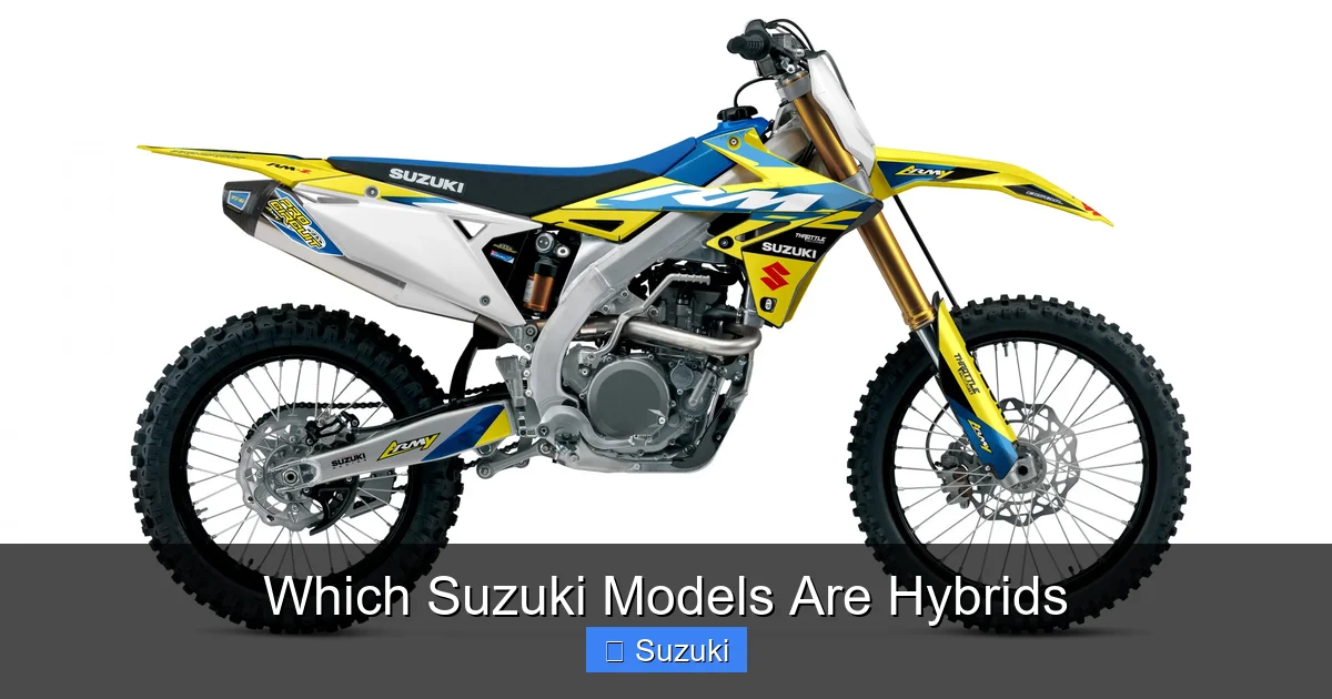 Which Suzuki Models Are Hybrids