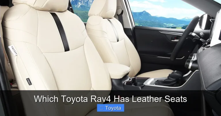 Which Toyota Rav4 Has Leather Seats