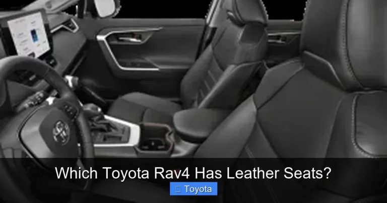 Which Toyota Rav4 Has Leather Seats?