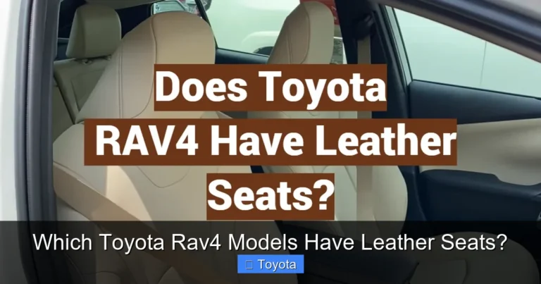 Which Toyota Rav4 Models Have Leather Seats?
