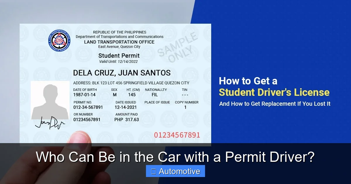 Who Can Be in the Car with a Permit Driver?