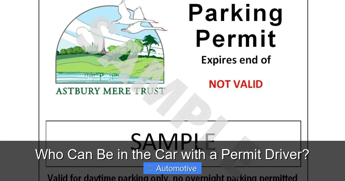 Who Can Be in the Car with a Permit Driver?