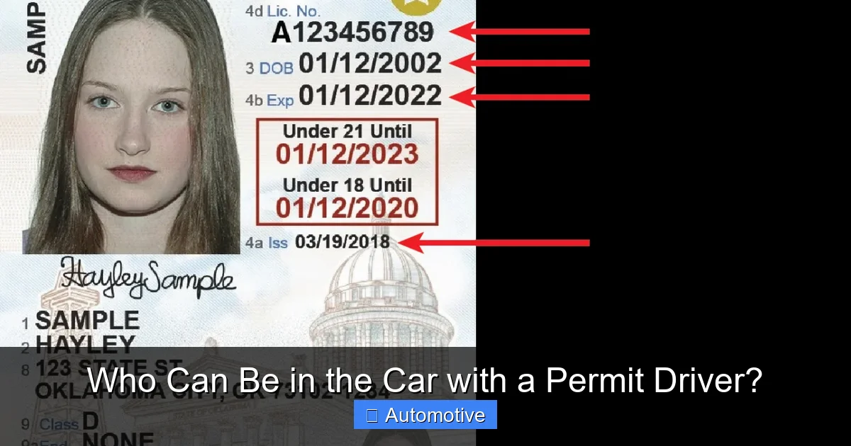 Who Can Be in the Car with a Permit Driver?