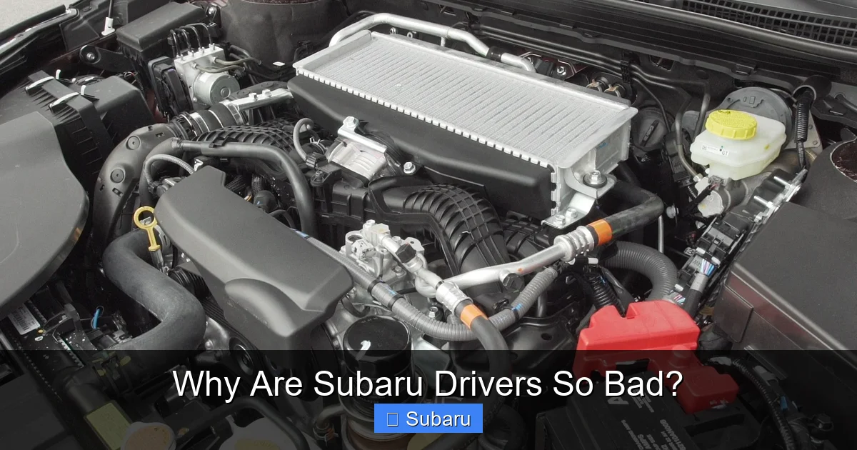 Why Are Subaru Drivers So Bad?