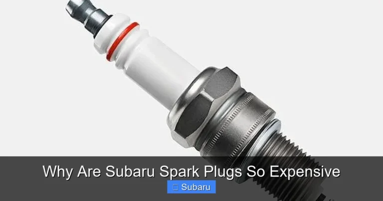 Why Are Subaru Spark Plugs So Expensive